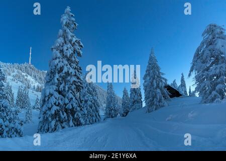 Cabina in legno in un paesaggio innevato con bellissimi alberi innevati in una stazione sciistica di Krvavec, Sloveania Foto Stock