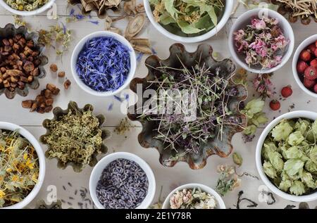 Assortimento di erbe secche: Fiori, radici e semi, piatti sulla tavola, lavanda, camomilla, lime, rosa, fiore di mais, dolce di mais, timo e altri Foto Stock