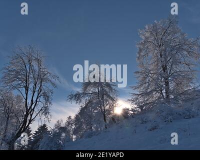 Splendido paesaggio invernale con luminoso sole pomeridiano che splende attraverso una foresta leggera di alberi decidosi con rami congelati sulla collina di Kornbühl, in Germania. Foto Stock