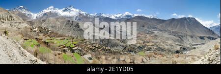 Campi terrazzati di Muktinath valley e Thorong La pass, Circuito di Annapurna, Nepal Foto Stock