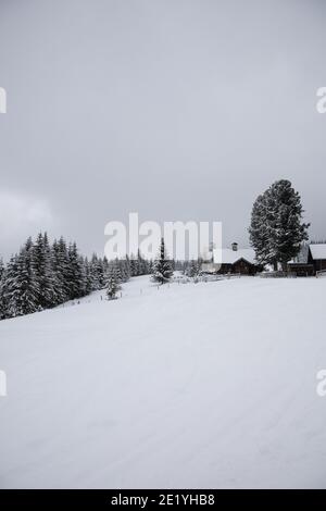 Piccole case su una collina innevata con alberi innevati. Foto Stock