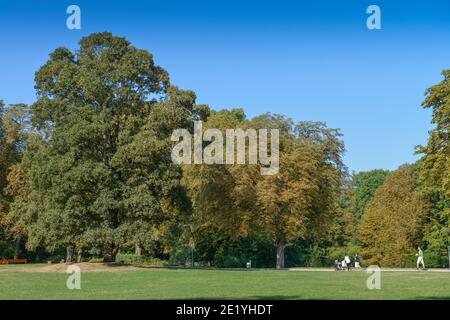 Westpark, Aachen, Nordrhein-Westfalen, Deutschland Foto Stock