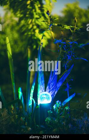 Vista notturna del letto fiorito illuminato da Lanterna colorata multicolore a risparmio energetico alimentata a energia solare su Yard. Bellissimo piccolo giardino con luce blu Foto Stock