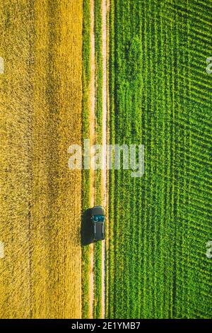 Vista aerea di Auto SUV parcheggiato vicino a Countryside Road in Spring Field Rural Landscape. Auto tra grano giovane e mais piantagione. Foto Stock