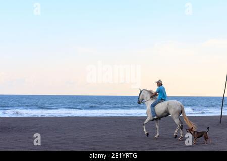 uomo a cavallo bianco sulla spiaggia puerto san jose guatemala Foto Stock