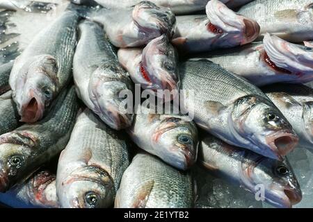 Mercato del pesce di Rialto, mercato di Rialto a Venezia Foto Stock