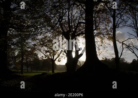 Immagine di Laqndscape da un parco britannico in autunno Foto Stock