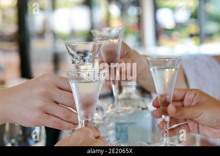 Mani che tengono bicchieri e tostatura, buon momento festivo, concetto di festa di lusso. Mani che tengono bicchieri con bevande alcoliche al bar. Foto Stock