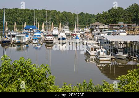 Alabama Demopolis fiume Tombigbee Yacht bacino acqua marina, ristorante molo barche yacht, Foto Stock