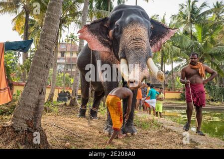Uomini indiani non identificati in piedi vicino da elefante tempio a Cochin, Kerala stato, India Foto Stock
