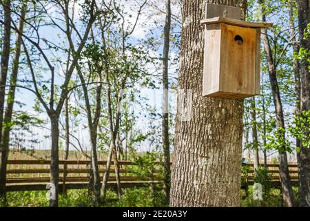 Alabama Historic Blakeley state Park Tensaw River Nature Boardwalk Birdhouse, Foto Stock