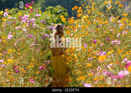 Bel modello che cammina attraverso un campo di fiori nel campagna Foto Stock