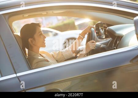 La giovane donna che guida Foto Stock