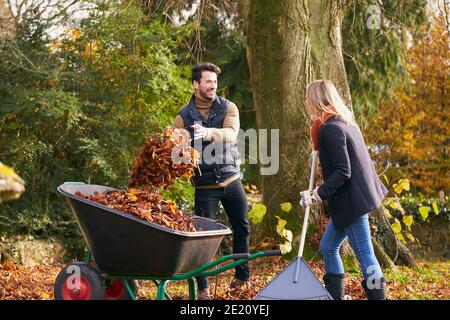 Coppia rastrellare foglie d'autunno e mettere in Wheelbarrow in Giardino Foto Stock