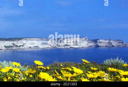 Le scogliere di Bonifacio, Corsica del Sud, Francia Foto Stock