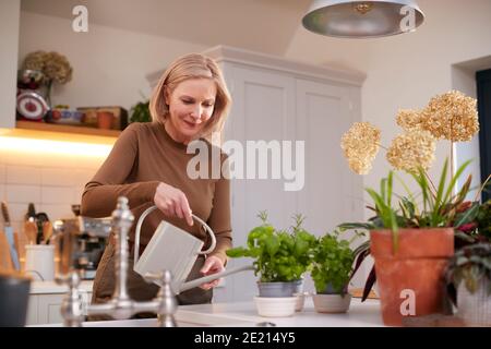 Donna matura innaffiando e prendendosi cura per le piante domestiche in cucina a. Casa Foto Stock