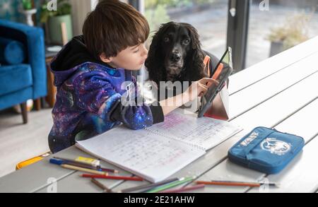 11 gennaio 2021 frontiere scozzesi. Scozia. UK Covid , Coronavirus Scottish Home Schooling ha inizio. Il ritardato inizio del mandato scolastico scozzese della primavera del 2021 oggi, gli studenti di tutta la Scozia iniziano un periodo di scolarizzazione a casa a causa delle attuali misure di blocco del Covid 19 in vigore. L'immagine mostra un ragazzo che si sta allenando con il suo lavoro scolastico con l'aiuto del suo cane spaniel, Buddy . Il locale Scottish Borders council ha rilasciato agli studenti iPad Apple che vengono ora utilizzati per l'apprendimento. Credit Alamy Live News. Foto Stock