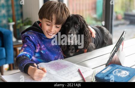 11 gennaio 2021 frontiere scozzesi. Scozia. UK Covid , Coronavirus Scottish Home Schooling ha inizio. Il ritardato inizio del mandato scolastico scozzese della primavera del 2021 oggi, gli studenti di tutta la Scozia iniziano un periodo di scolarizzazione a casa a causa delle attuali misure di blocco del Covid 19 in vigore. L'immagine mostra un ragazzo che si sta allenando con il suo lavoro scolastico con l'aiuto del suo cane spaniel, Buddy . Il locale Scottish Borders council ha rilasciato agli studenti iPad Apple che vengono ora utilizzati per l'apprendimento. Credit Alamy Live News. Foto Stock