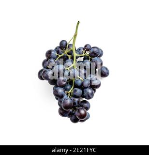 Mazzo di uve scure e mature organiche su sfondo bianco. Uva viola biologica con vitigno verde fresco, isolata su bianco con percorso di ritaglio. Vista dall'alto o piatta Foto Stock