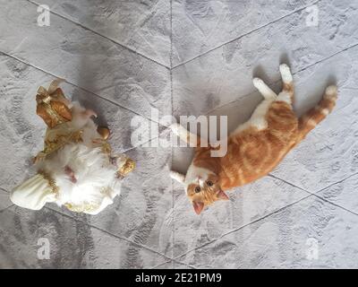 Adorabile gatto zenzero sdraiato accanto al giocattolo di Santa su un tappeto grigio chiaro che ha un tempo rilassante con spazio di copia intorno ad esso. Foto Stock