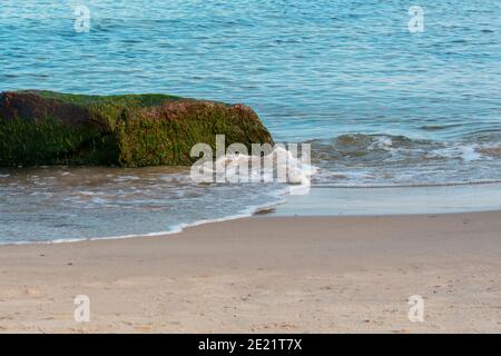 Grande masso ricoperto di alghe verdi sulla riva del mare. Onda con schiuma bianca sulla sabbia della spiaggia. Messa a fuoco selettiva. Foto Stock
