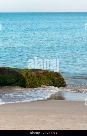 Roccia coperta di alghe verdi sulla riva del Mar Baltico. Messa a fuoco selettiva. Foto Stock