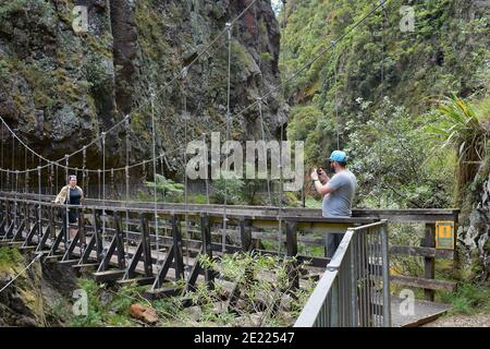 AUCKLAND, NUOVA ZELANDA - 24 dicembre 2020: Vista del ponte sospeso del fiume Waitawheta da Windows Walk a Karangahake Gorge Foto Stock