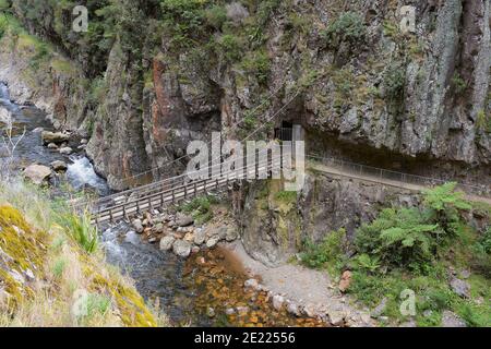 WAIKATO, NUOVA ZELANDA - 24 dicembre 2020: Vista del ponte sospeso del fiume Waitawheta da Windows Walk a Karangahake Gorge Foto Stock