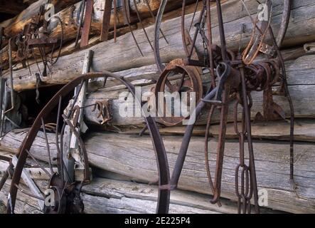 Bulletta della parete della camera, Riddle Ranch nazionale quartiere storico, Steens Mountain Recreation Area, Oregon Foto Stock