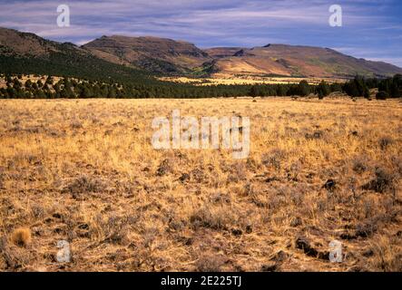 Steens Mountain, Riddle Ranch National Historical District, Steens Mountain Recreation Area, Oregon Foto Stock