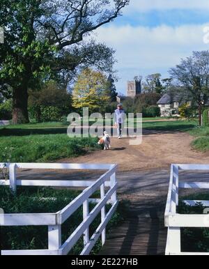 Dog Walker all'Hilton, Huntingdonshire, Cambridgeshire, Inghilterra, Regno Unito Foto Stock