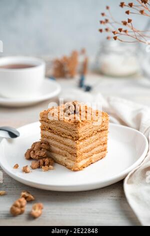 Torta al miele su sfondo chiaro. Vista laterale. Foto Stock