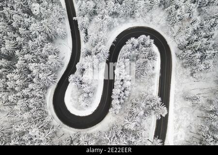 Strada curva a S nella vista aerea della foresta invernale. Vuota strada tortuosa circondata da alti pini. Foto Stock