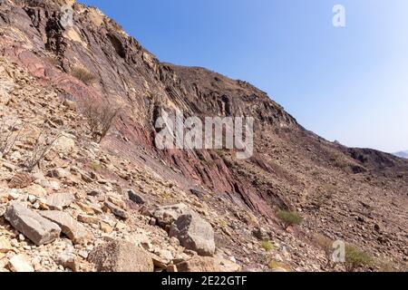 Paesaggio delle montagne Hajar, con rocce calcaree e dolomite, sentieri rocciosi e alberi aridi, Emirati Arabi Uniti. Foto Stock