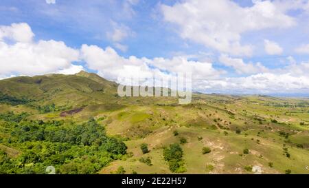 Le mucche pascolano nei prati di montagna. Bellissimo paesaggio sull'isola di Luzon, vista aerea. Le colline e le montagne sono coperte di prati e erba. Foto Stock