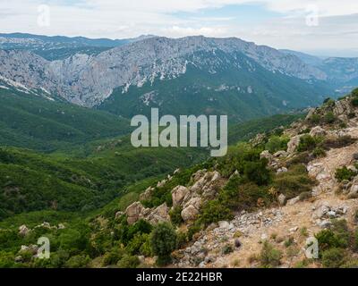 Veduta aerea del verde paesaggio forestale dei Monti Supramonte con rocce calcaree e vegetazione mediterranea, Regione Nuoro, Sardegna, Italia. Estate Foto Stock
