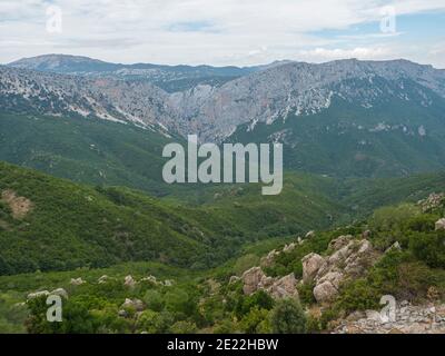 Veduta aerea del verde paesaggio forestale dei Monti Supramonte con rocce calcaree e vegetazione mediterranea, Regione Nuoro, Sardegna, Italia. Estate Foto Stock