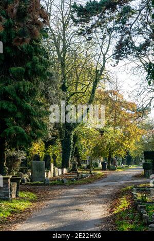 Sole sparso che illumina il sentiero attraverso un cimitero boscoso Margate in autunno, autunno. Pietre della tomba lungo il percorso con foglie marroni cadute Foto Stock