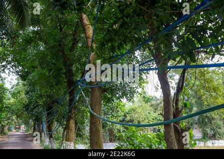 Linee di gas illegali a Brahmanbaria in Bangladesh. Questo gas proveniente dai pozzi di tubiere delle diverse case e terre nel villaggio sono in fase di supplie Foto Stock