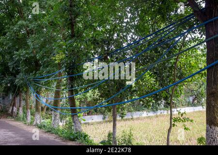 Linee di gas illegali a Brahmanbaria in Bangladesh. Questo gas proveniente dai pozzi di tubiere delle diverse case e terre nel villaggio sono in fase di supplie Foto Stock