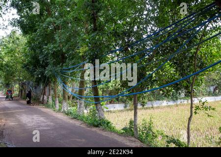 Linee di gas illegali a Brahmanbaria in Bangladesh. Questo gas proveniente dai pozzi di tubiere delle diverse case e terre nel villaggio sono in fase di supplie Foto Stock