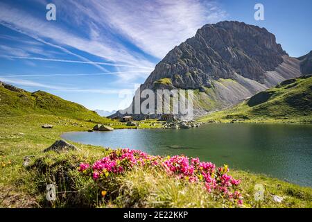 Rifugio Obstanserseehütte / Obstansersee-Hütte e Lago di Ostanzersee in estate nelle Alpi Carniche / Alpen Karnische, distretto di Lienz, Tirolo, Austria Foto Stock