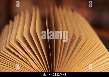 Libro con vecchie pagine giallastre Foto Stock