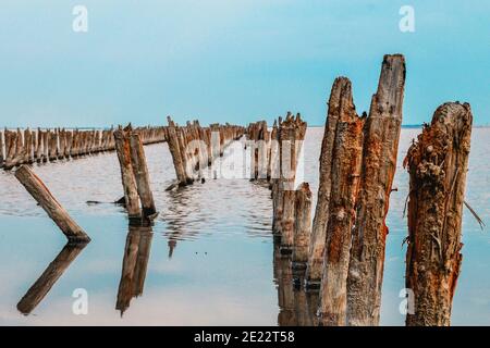 Tronchi di legno in acqua di mare. Tronchi di legno in acqua di mare. Foto Stock