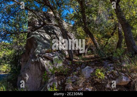 Alberi di quercia e masso gigante lungo Cave Creek Road nelle montagne Chiricahua, Coronado National Forest, Arizona, Stati Uniti Foto Stock