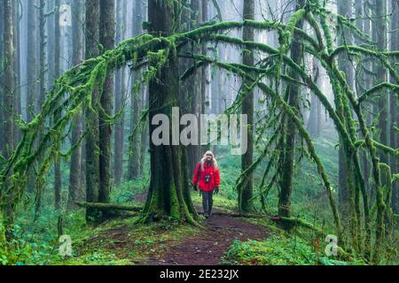 Donna escursioni sulla foresta, Golden Ears Provincial Park, Maple Ridge, British Columbia, Canada Foto Stock