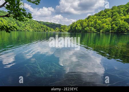 Bellissima acqua turchese con nuvole soffici riflesse in un lago. Verde lussureggiante foresta, Plitvice Lakes National Park patrimonio mondiale dell'UNESCO in Croazia Foto Stock