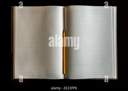 Vista dall'alto di un notebook aperto con pagine vuote e. una matita Foto Stock