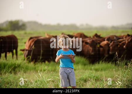 Coltivatore di bambino alla fattoria di mucche. Bambini in campagna. Bambino con tablet in fattoria Foto Stock