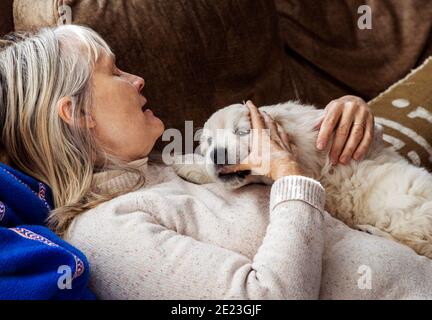 Donna che tiene sette settimane di platino, o crema colorato Golden Retriever cucciolo. Foto Stock